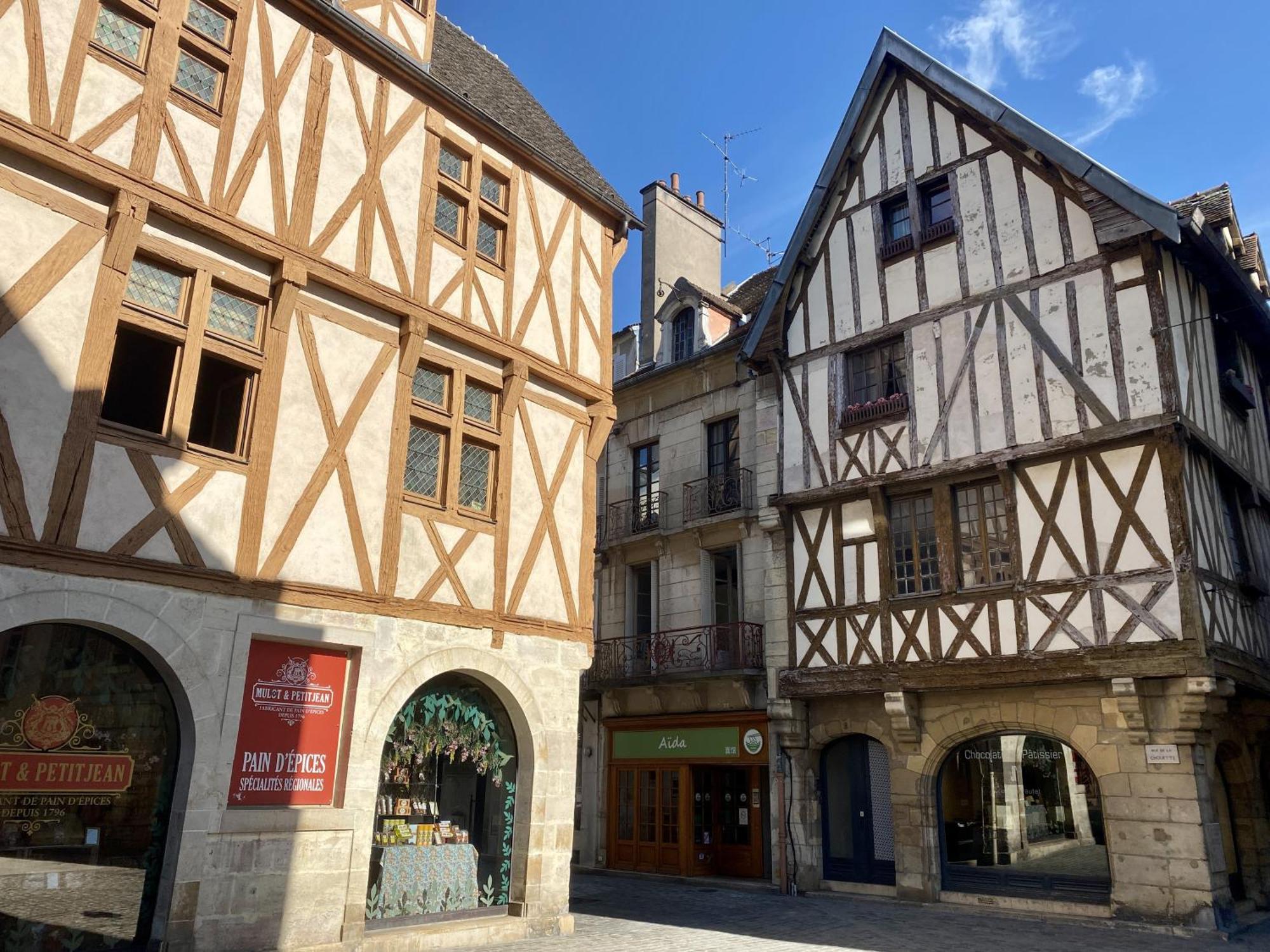Le Rousseau - Appartement & Suite En Hypercentre Digione Esterno foto